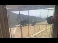 How rescuers saved 2 beloved condors trapped in Big Sur wildfire