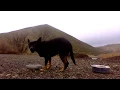 Selina in Eastern Oregon