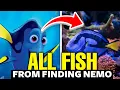 All The Fish From Finding Nemo Explained