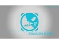 Download Lagu Heading Home by Otto Wallgren - [Pop Music]