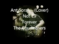 Not 19 Forever - Courteeners - By Ant Sorah
