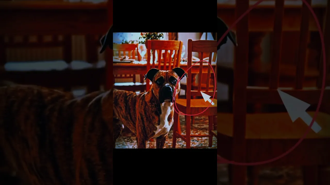 Short Form AI Video