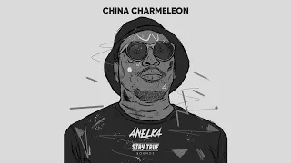 exte c ft hyphonik u0026 bii kie lo mfana china charmeleon the animal remix 