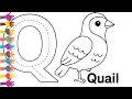 Q for Quail ABC Tracing and Coloring Color by Number Learn Alphabet with Coloringwithsmile