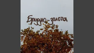 Брудно золота 