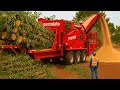 Download Lagu Dangerous Tree Shredder and Wood Chipper cutting machines | Monster Stump Removal Excavator #83