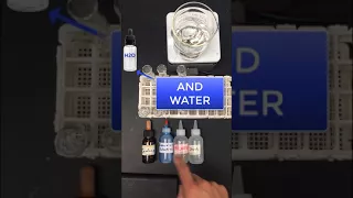 NYS REGENTS LAB Diffusion Through A Membrane