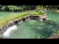 Download Lagu Kuang Si Falls - Laos - Luang Prabang - the most beautiful waterfalls in Laos