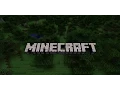 Parent s Guide To Minecraft