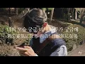 【日本語訳】BSS（seventeen）/ 7시에 들어줘（7PM）ft. Peder Elias
