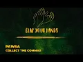 PAWSA - COLLECT THE COMMAS