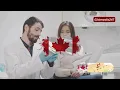 8 Tips To Avoid Study Permit Delays Become An International Student immigration study in canada