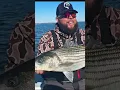 Throwing paddle tail swim baits for schooling fish