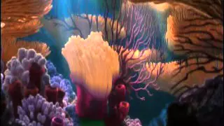 Opening To Finding Nemo 2012 Blu Ray Disc 2 