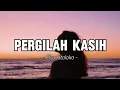 Lagu Pergilah Kasih - Elsa Pitaloka ( Lirik)