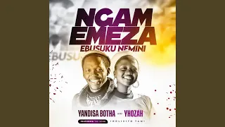 inhliziyo yami feat yandisa botha 