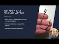 Module 7 Cyber Awareness and Phishing Simulation