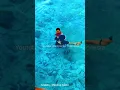 Download Lagu Swim with the Fish in Maratua Island. Borneo, Indonesia #shorts