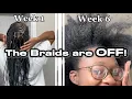 I wore plant-based braiding hair for 6 weeks and here s my FULL review Was it Worth it