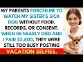 I’m a Vet. My Parents Forced Me to Watch My Sister’s Dying Dog While They Vacationed for 7 Weeks