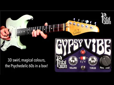 Pedal Pawn Gypsy Vibe | Delicious Audio