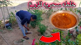 استغليت سافرها ودخلت المطبخ ابدعت وعملت كل المحروم منه 