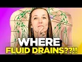 Lagu Lymphatic Drainage: WHERE THE FLUID DRAINS??!!