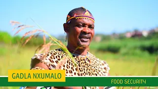 gadla nxumalo food security official music video 2020