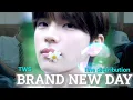 TWS - BRAND NEW DAY line distribution