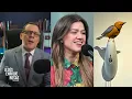 Kelly Clarkson's Body Language at Shop SAYS IT ALL