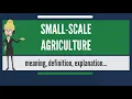 What is SMALL SCALE AGRICULTURE What does SMALL SCALE AGRICULTURE mean