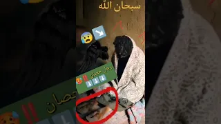 شاهد قبل الحذف لحظة القبض على حصانه المقابر مرعب Shorts 