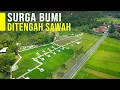 Download Lagu Sulap Sawah Jadi Tempat Wisata Petani Untung Berlipat Ganda