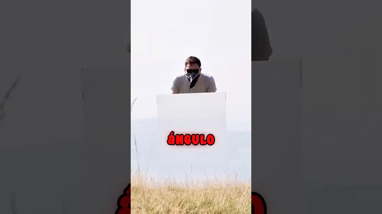 Lo Viste Desaparecer?