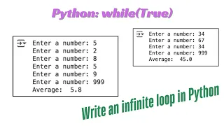 Python Lesson34 Implement a while True loop
