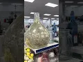 OMG I scored a massive haul at Goodwill Part one