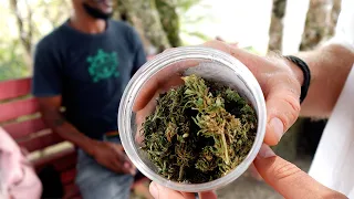 A încercat să-mi vândă ganja în St Lucia