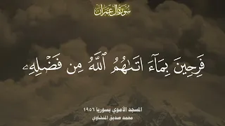 و ل ا ت ح س ب ن   ال  ذ ين  ق ت ل وا ف ي س ب يل  الل  ه  أ م و ات ا   محمد صديق المنشاوي دندنها