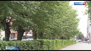 Оксана Фадина наложила вето на решение о вырубке деревьев на проспекте Карла Маркса