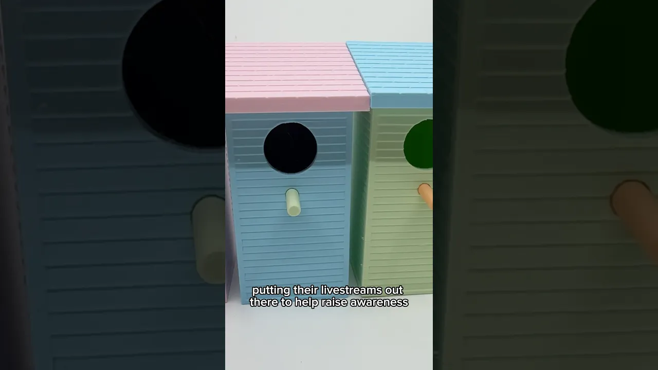 Birdhouse video thumbnail