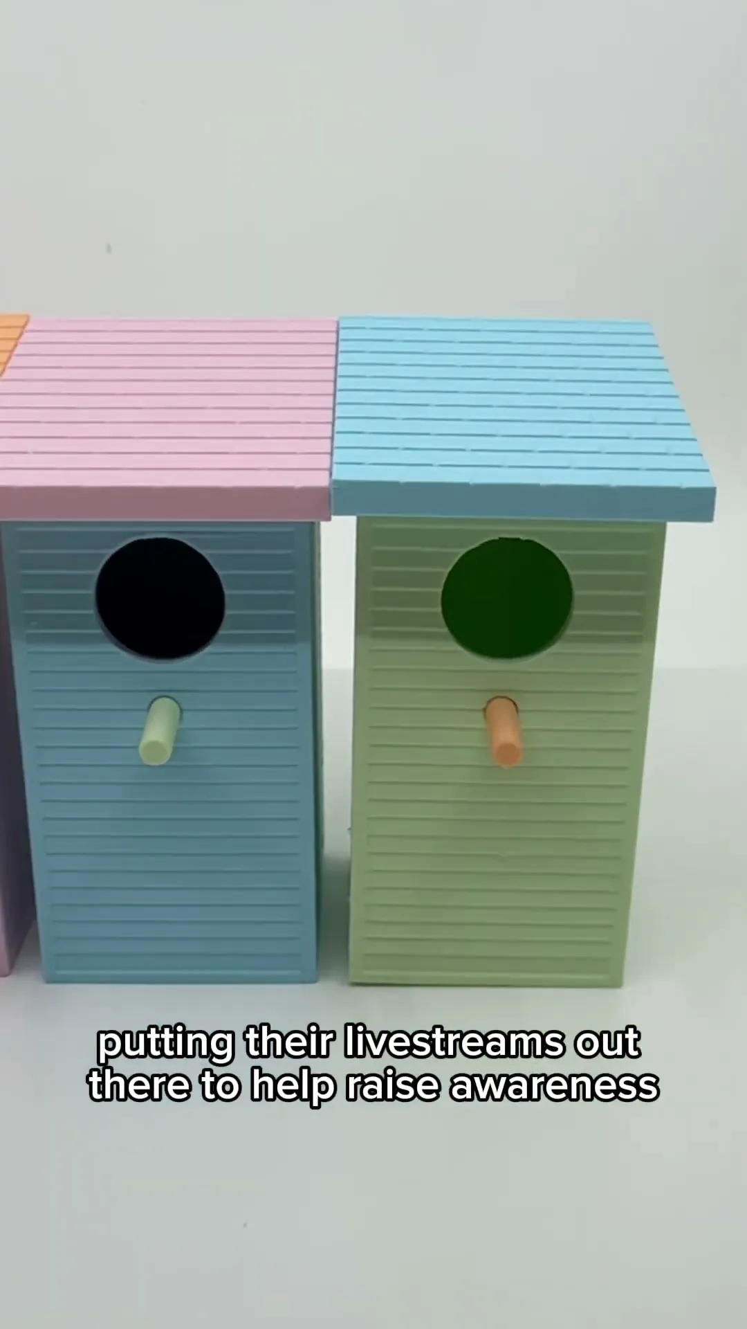 Birdhouse 