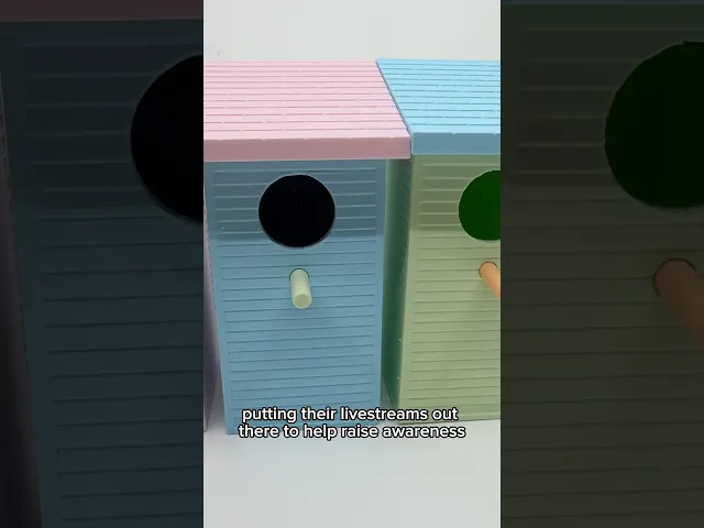 Birdhouse  video thumbnail
