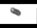 Aurora Example Visual 2