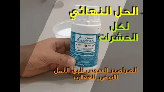 القضاء علي الصراصير وكل الحشرات الزاحفة  سوس الخشب  البق  النمل الابيض  العقارب دندنها