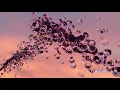Glass Bubbles - Made with Notch