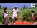 Download Lagu #Rajinikanth இந்த ஊர்ல இப்படித்தா பால் கரப்பீங்களா? இப்போ நான் பால் கறக்கட்டுமா!!#comedy#tamilcomedy