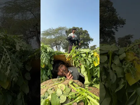 Khet main secret room bana diya ￼#shorts #shortvideo #challenge