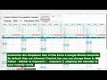 CoParenting Visitation Schedule Excel Google Sheets Custody Tracker Template