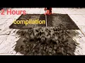 Best of 2025 2 Hours of Satisfying Carpet Cleaning