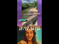 Download Lagu Brooke is In and Out of this Shed more than a Barn Animal
